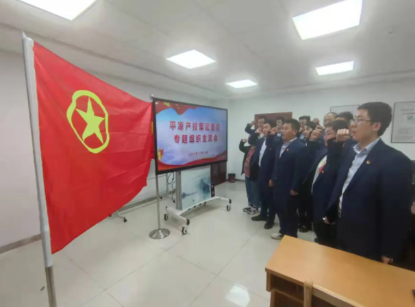 星空平台·（StarSky Sports）官方网站团委召开2021年度专题组织生活会(图5)