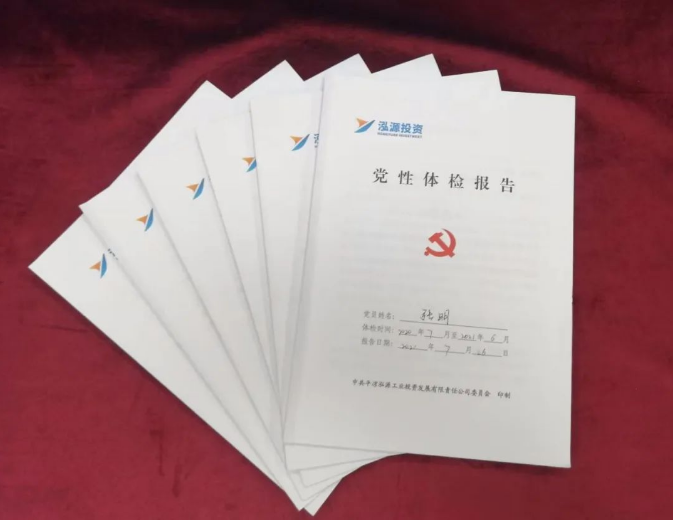 星空平台·（StarSky Sports）官方网站打造“泓源红”党建品牌助推高质量发展(图3)